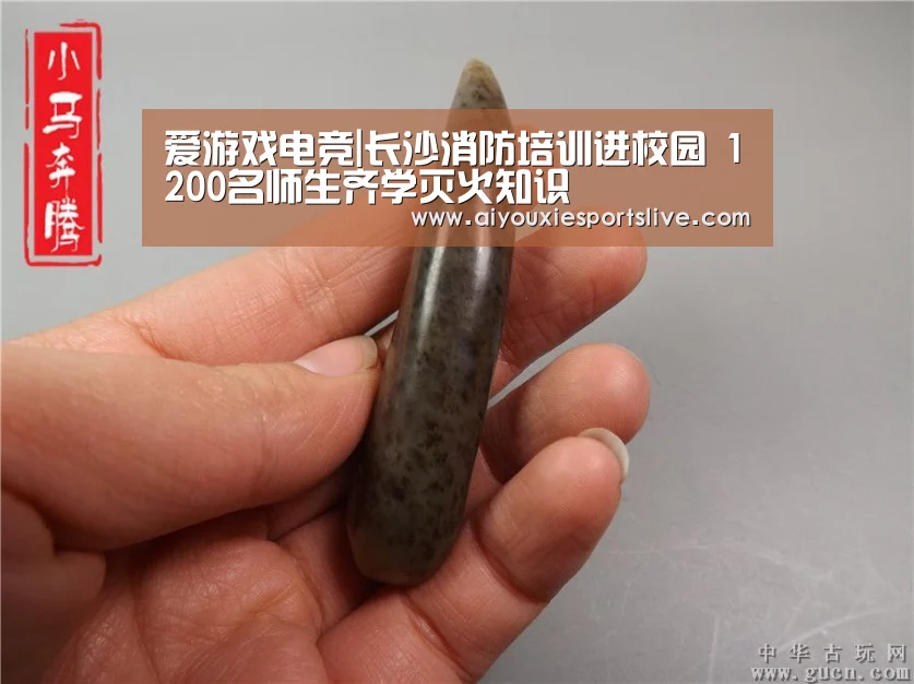 爱游戏电竞|长沙消防培训进校园 1200名师生齐学灭火知识(图2) 爱游戏电竞