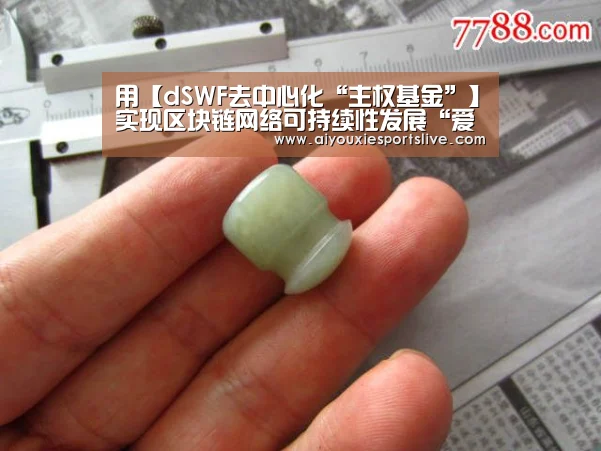 用【dSWF去中心化“主权基金”】实现区块链网络可持续性发展“爱游戏APP”(图2) 爱游戏官网