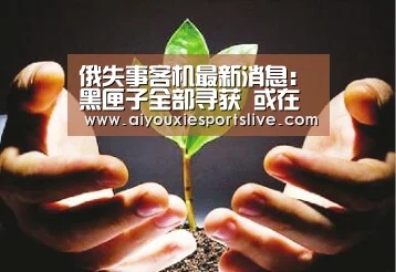 俄失事客机最新消息:黑匣子全部寻获 或在埃及破译【爱游戏APP】(图3) 爱游戏官网