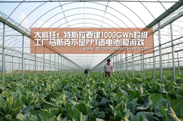 爱游戏官网