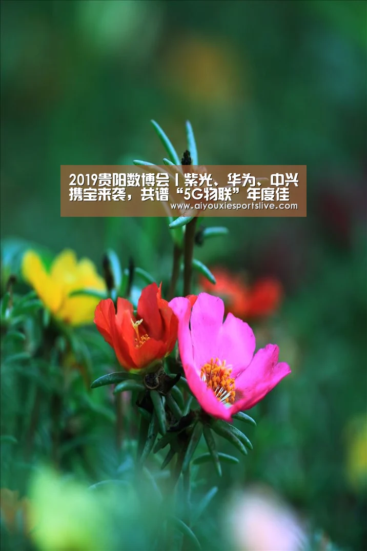 爱游戏APP