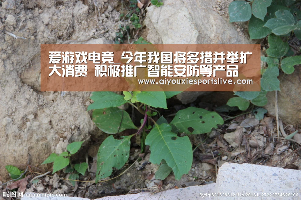 爱游戏电竞_今年我国将多措并举扩大消费 积极推广智能安防等产品(图4) 爱游戏官网