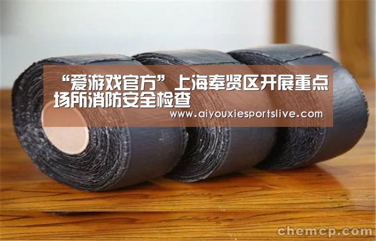 “爱游戏官方”上海奉贤区开展重点场所消防安全检查(图3) 爱游戏官网