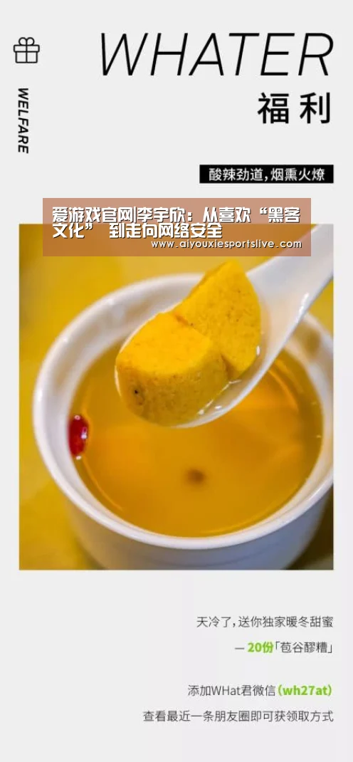 爱游戏官网|李宇欣:从喜欢“黑客文化” 到走向网络安全(图1) 爱游戏APP