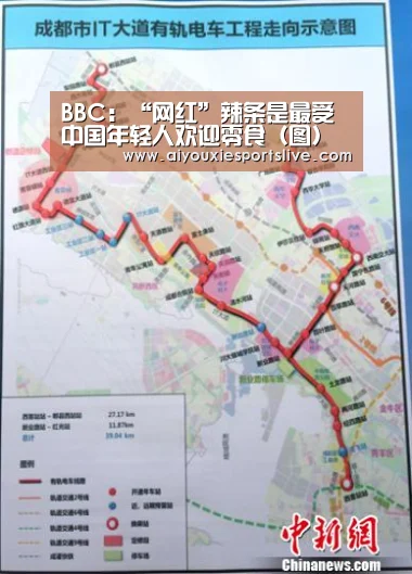 BBC:“网红”辣条是最受中国年轻人欢迎零食(图)‘爱游戏APP’(图1) 爱游戏APP