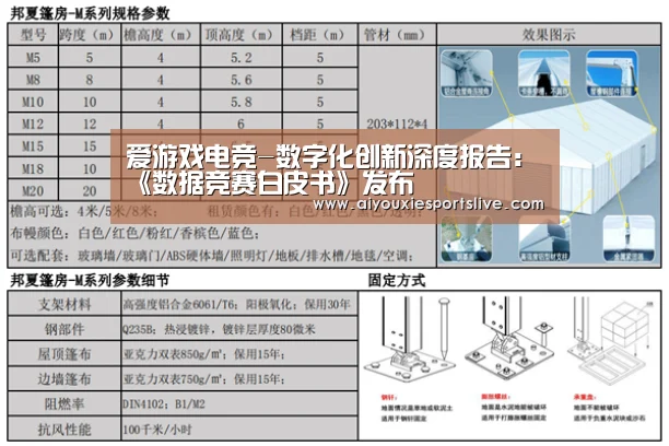 爱游戏电竞-数字化创新深度报告:《数据竞赛白皮书》发布(图1) 爱游戏官网