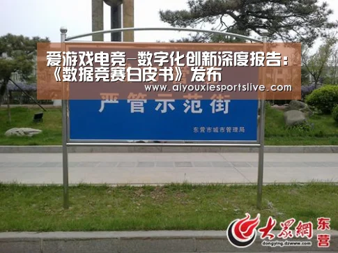 爱游戏电竞-数字化创新深度报告:《数据竞赛白皮书》发布(图3) 爱游戏电竞