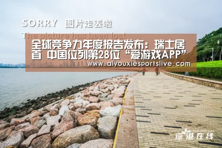 全球竞争力年度报告发布:瑞士居首 中国位列第28位“爱游戏APP”(图4) 爱游戏电竞