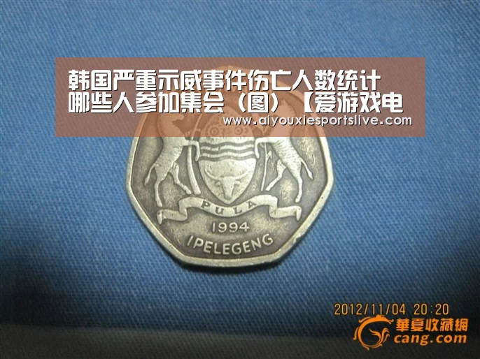 韩国严重示威事件伤亡人数统计 哪些人参加集会(图)【爱游戏电竞】(图4) 爱游戏官网