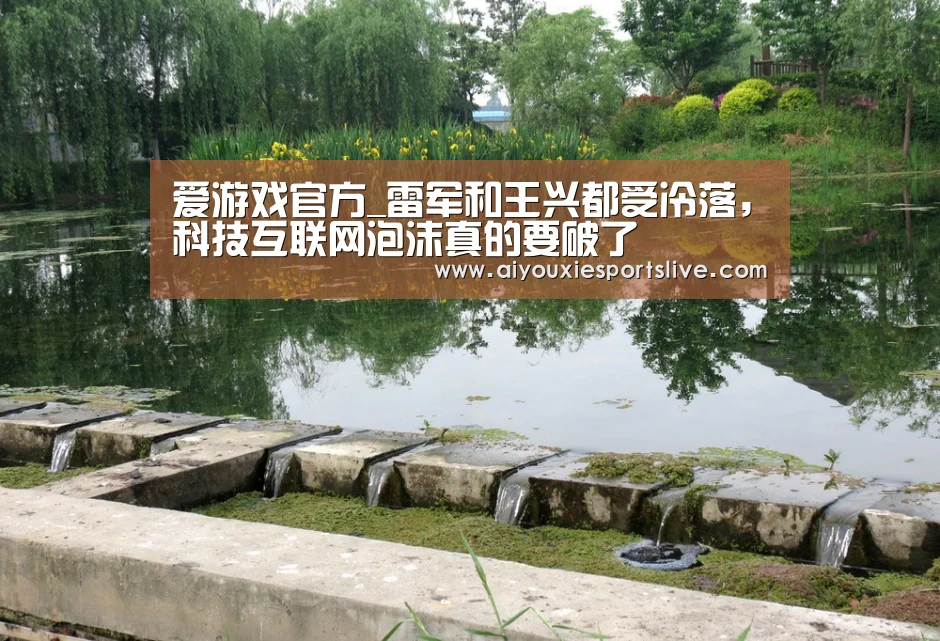 爱游戏官方_雷军和王兴都受冷落,科技互联网泡沫真的要破了(图3) 爱游戏官网